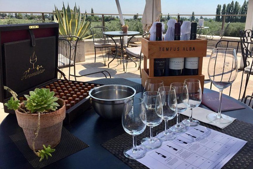 Blogging in Maipu with Zuccardi Q Tasting and Lunch Pairing 5