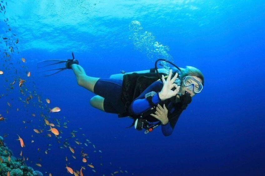 A diver underwater with a camera, surrounded by fish. 2