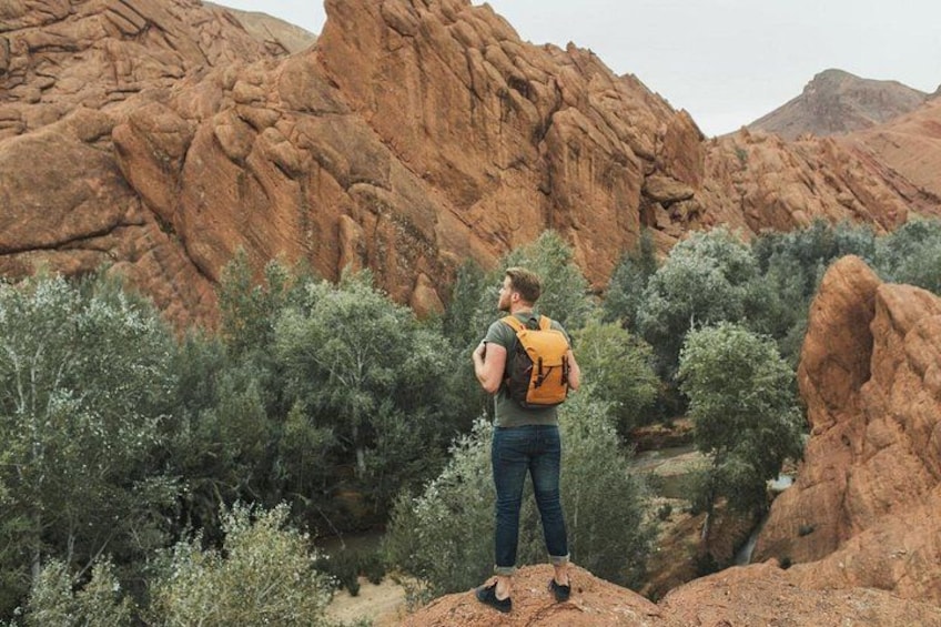 A person standing on a rock with a backpack, surrounded by red rock formations and green vegetation. 4