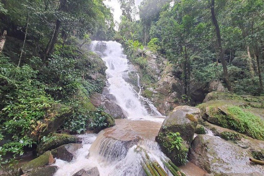 2 Day Jungle Trekking Adventure from Chiang Rai 2