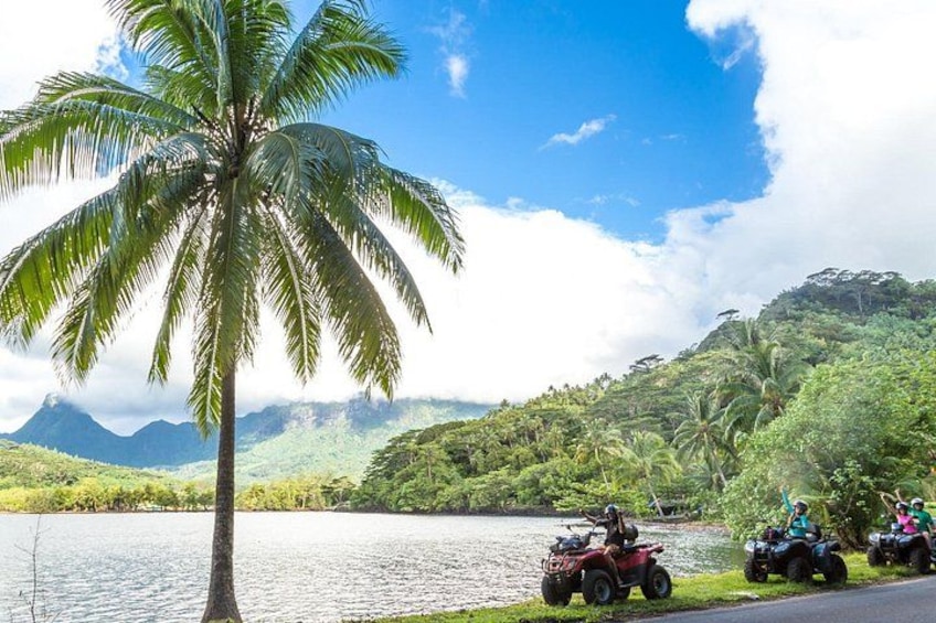 A lake, a palm tree, and two ATVs on a road. 1