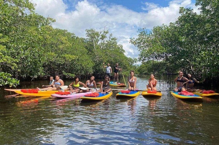 Nature ECO Paddle 1