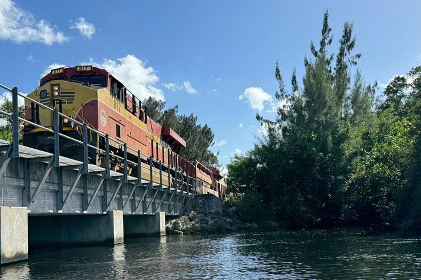 Train along scenic ECO Paddle 4