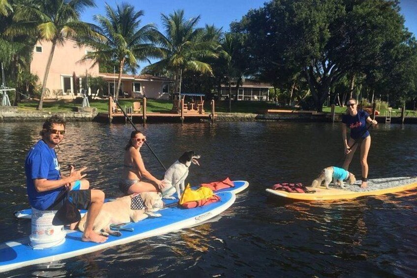Island City ECO Paddle with pups 3