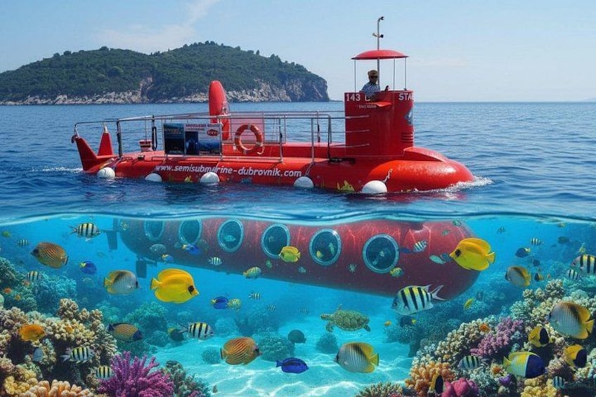 Havelock Coral Experience: Semi-Submarine and Radhanagar Beach 1