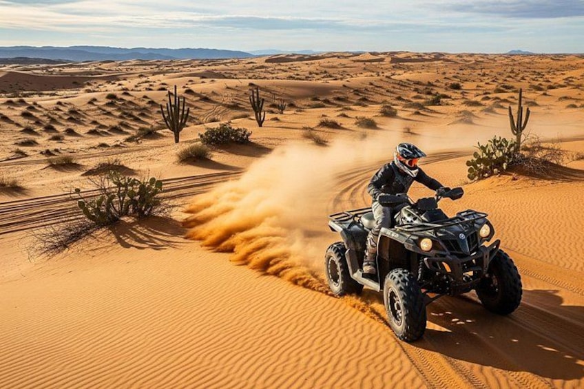 A person riding an ATV on a sandy desert terrain with cacti and dunes. 4