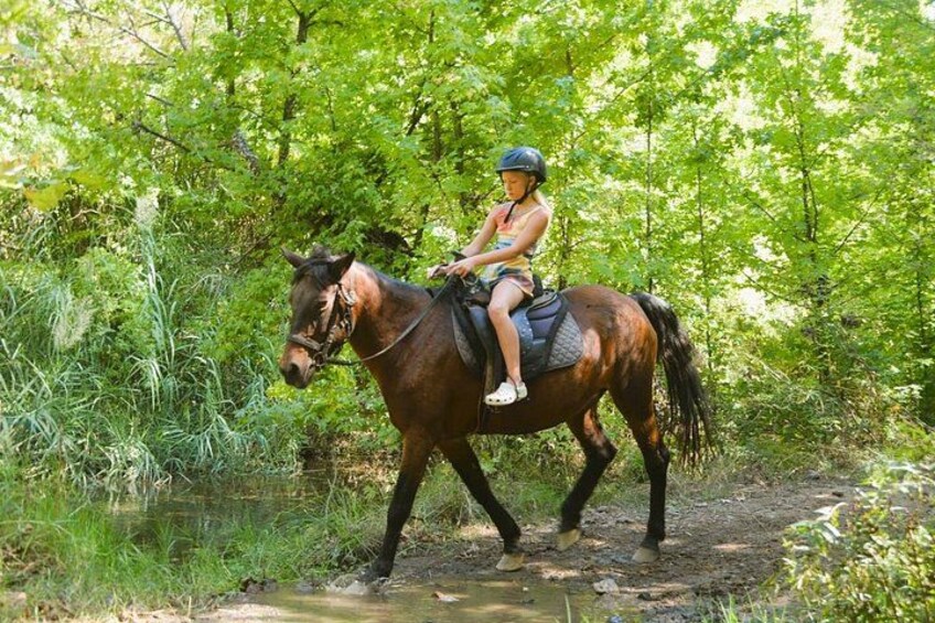 A person riding a horse on a dirt path surrounded by greenery. 5