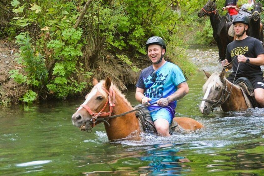 A person riding a horse through a river surrounded by greenery. 4