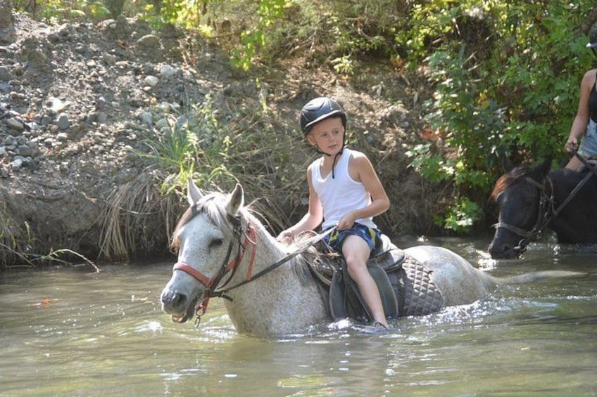A person riding a horse through a shallow stream. 2