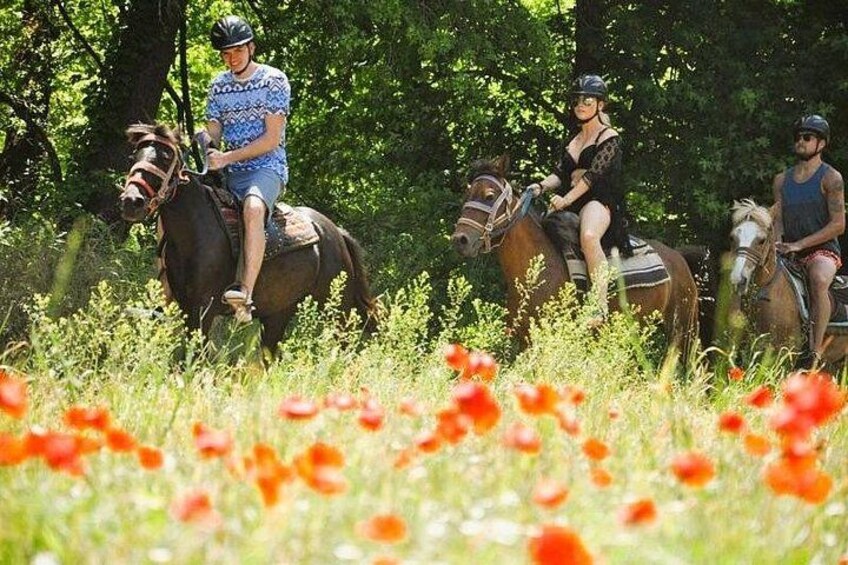 Three people riding horses in a grassy field with red flowers. 1
