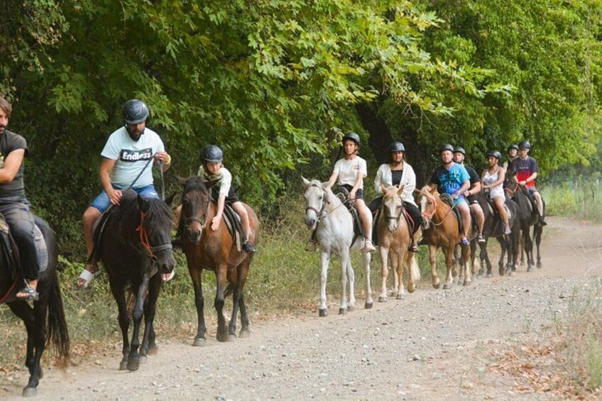 A group of people riding horses on a dirt path surrounded by trees. 3