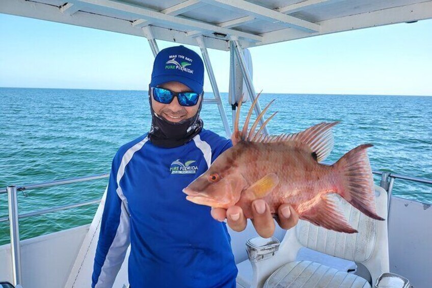 4-Hour Naples Deep Sea Trip (Up to 9 Miles Offshore) 2