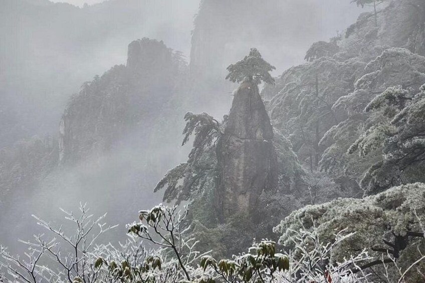A misty mountainous landscape with snow-covered trees and rocky cliffs. 2