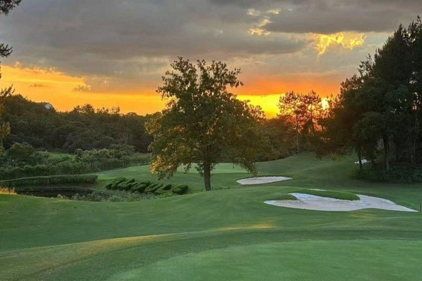 A golf course with sand bunkers and a tree in the foreground during sunset. 1