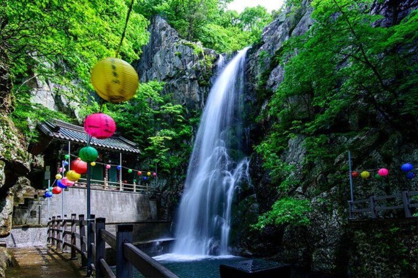 Hidden Buddhist Temples Tour from Busan Private Day Trip 1