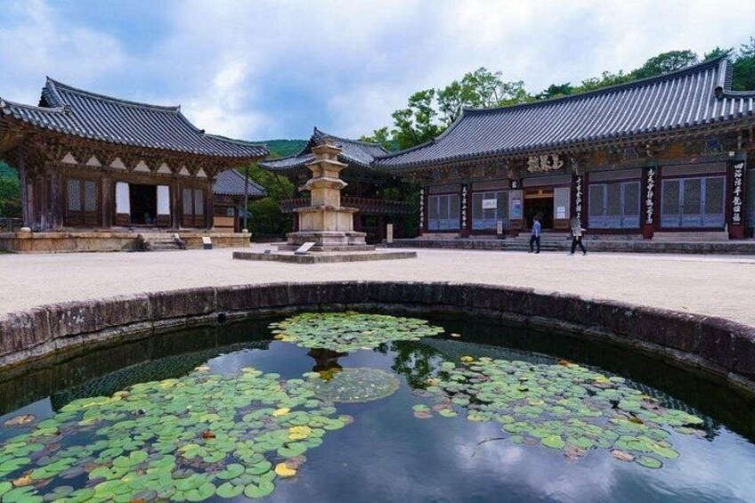 Een traditioneel Koreaans tempelcomplex met een vijver vol waterlelies, een pagode en bezoekers. 3