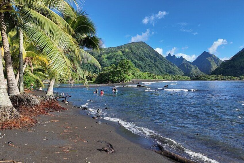 A beach with palm trees, a river, and mountains in the background. 1