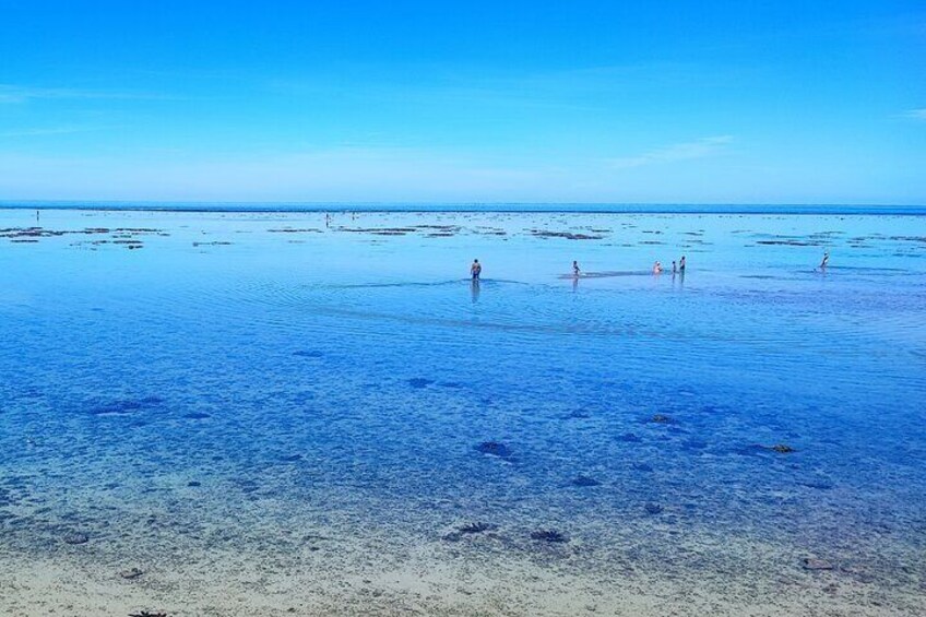 A beach with clear blue water and people walking on the sand. 4