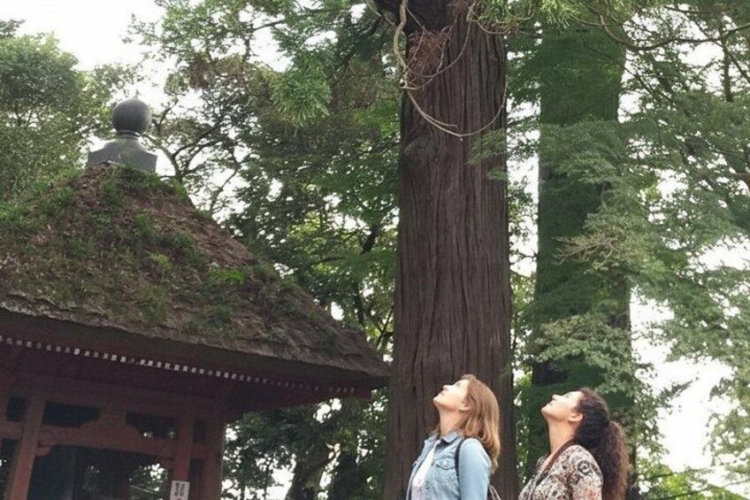 Bronze bell hall and cedar trees. The bell has hung here since 10th century. The cedar trees are said to be 800 years old. 3
