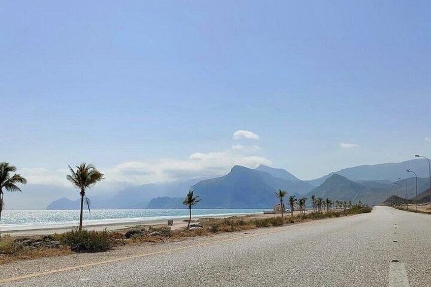 Eine Küstenstraße mit Palmen, einem klaren Himmel und Bergen im Hintergrund. 3