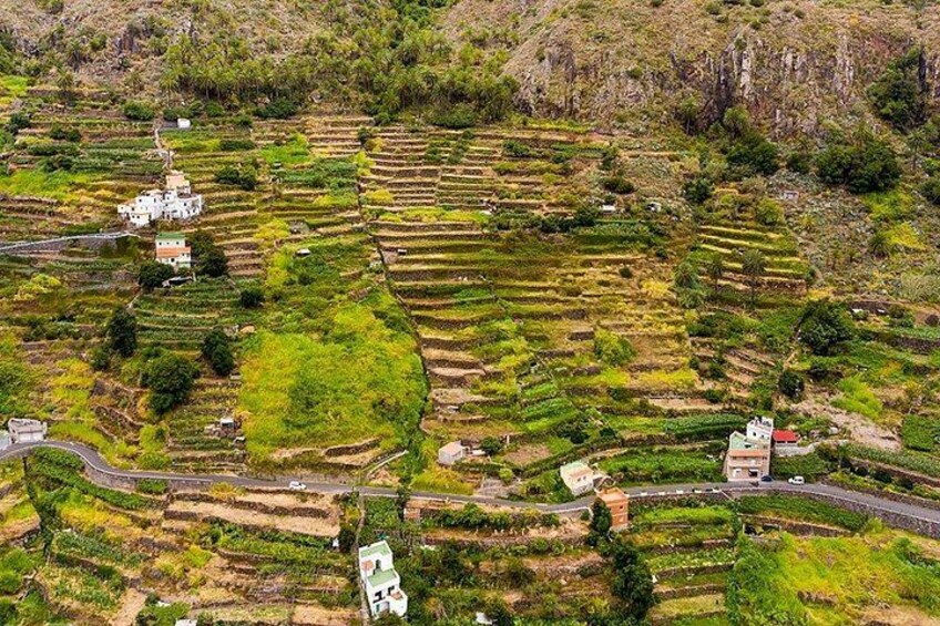 Terraced agricultural fields, a winding road, and scattered buildings. 3