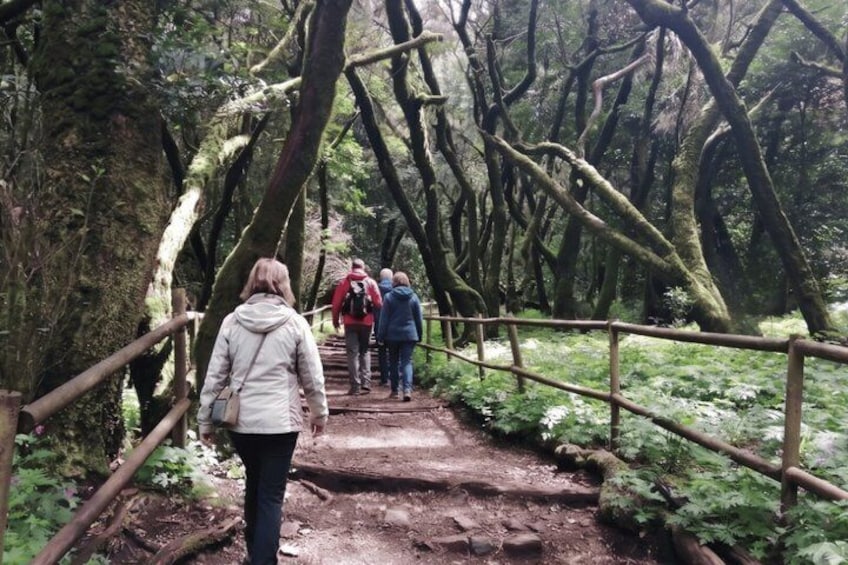 La Gomera Full Day Tour from Tenerife with ferry and lunch 4