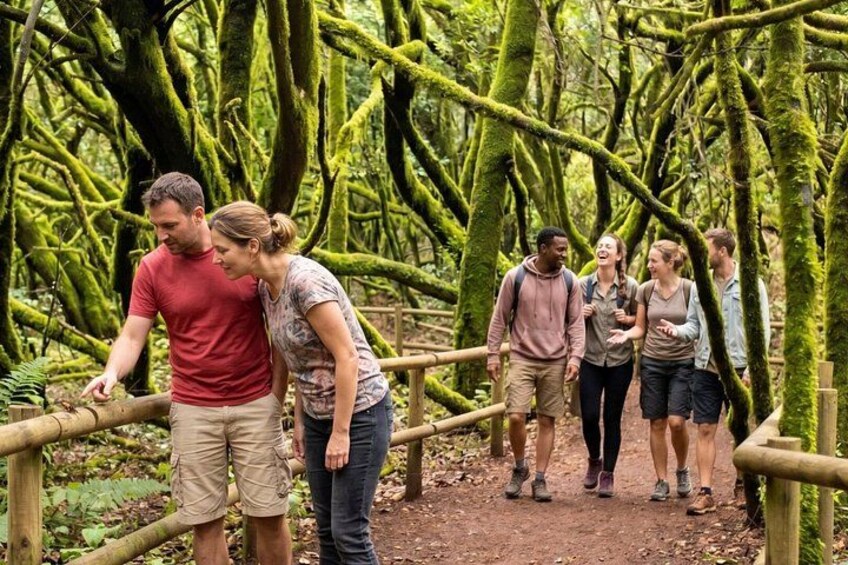 La Gomera Full Day Tour from Tenerife with ferry and lunch 1