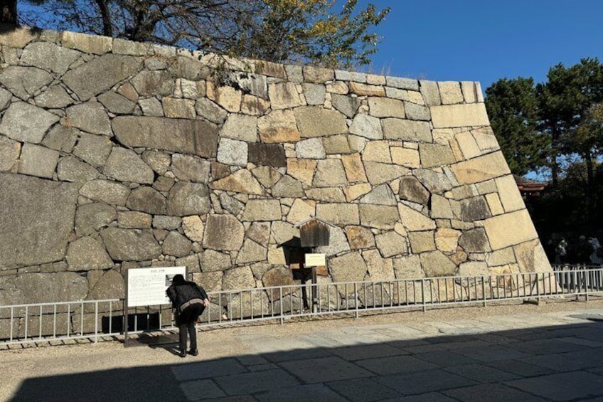 Nagoya: Tokugawa Garden and Nagoya Castle Samurai Heritage Tour 2