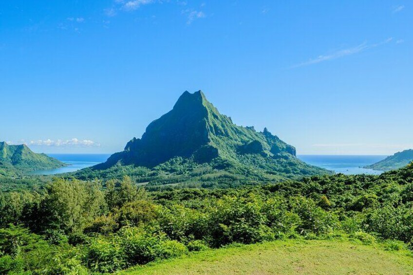 Un paisaje verde exuberante con un pico montañoso destacado y un cielo azul despejado. 2