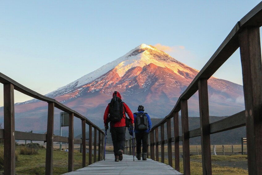 Full-Day Cotopaxi National Park: Volcano and Limpiopungo Lagoon 5