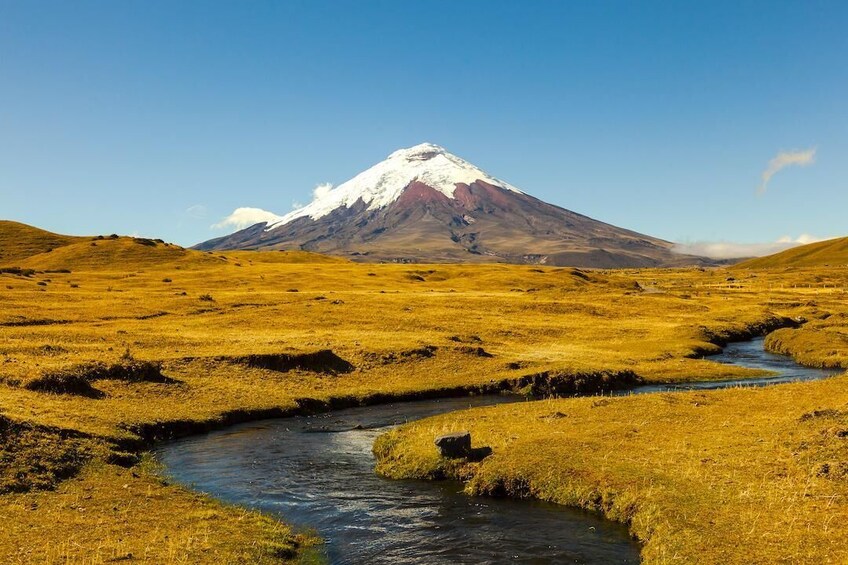 Full-Day Cotopaxi National Park: Volcano and Limpiopungo Lagoon 3