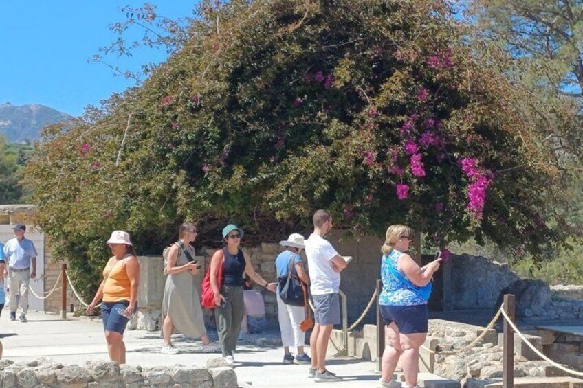 Un grupo de personas de pie cerca de un muro de piedra con un árbol cubierto de flores rosadas. 5