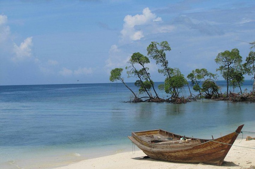 A boat on a sandy beach with clear water and trees in the background. 3