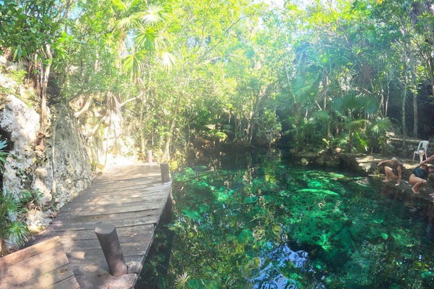 Nothing with Turtles, explore Cenotes and eat good ceviche 5
