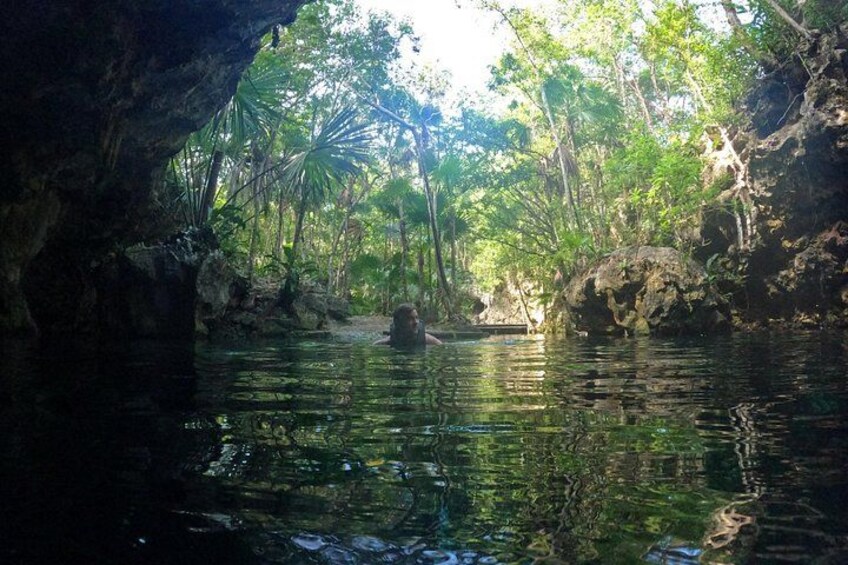 Nothing with Turtles, explore Cenotes and eat good ceviche 3
