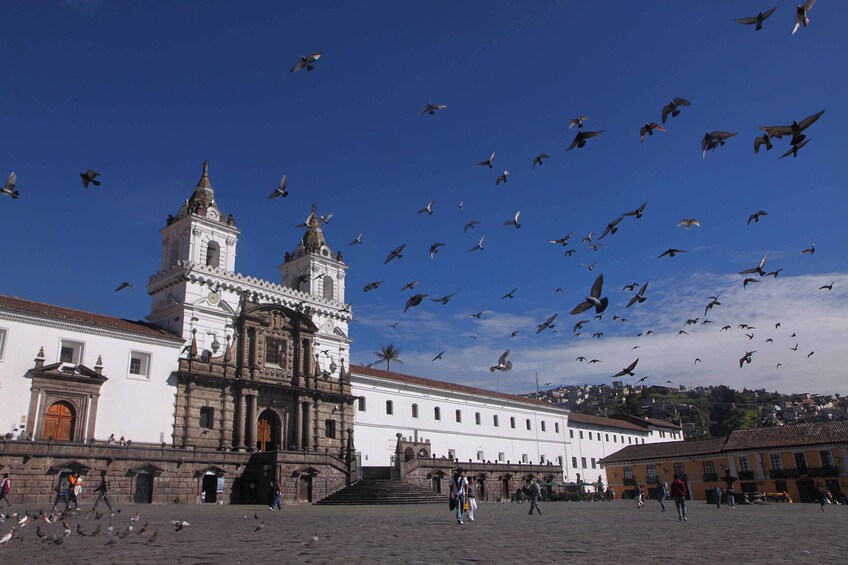 A historic building with a bell tower, surrounded by a plaza with people walking and pigeons flying. 5