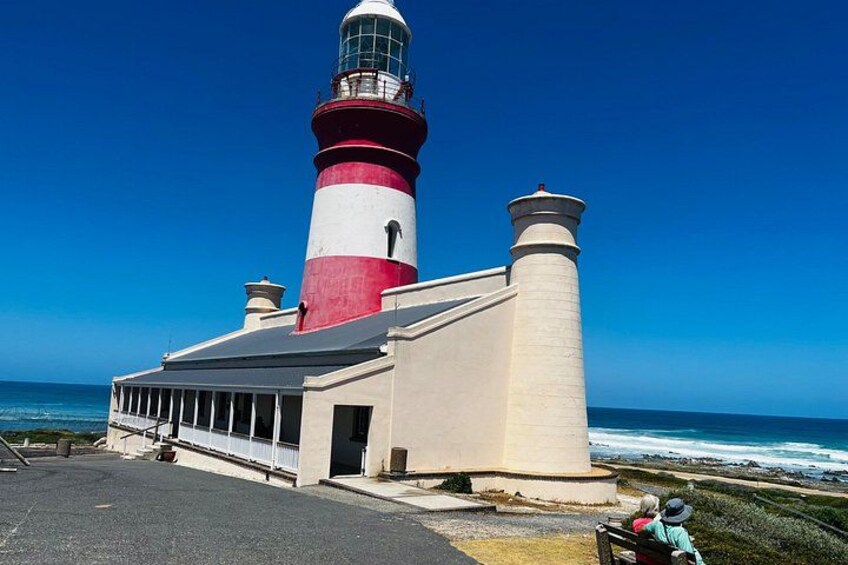Cape Agulhas,Stoni Point Penguin Colony Day Tour from Cape Town 4