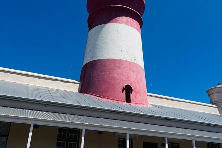 Cape Agulhas,Stoni Point Penguin Colony Day Tour from Cape Town 1