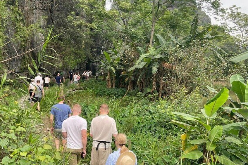 Un groupe de personnes fait une randonnée à travers une jungle dense, où les arbres sont hauts et la végétation luxuriante. 4