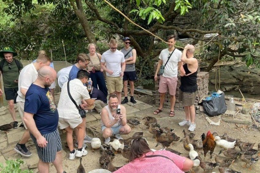 A group of people observing chickens in an outdoor setting with trees and a dirt ground. 2