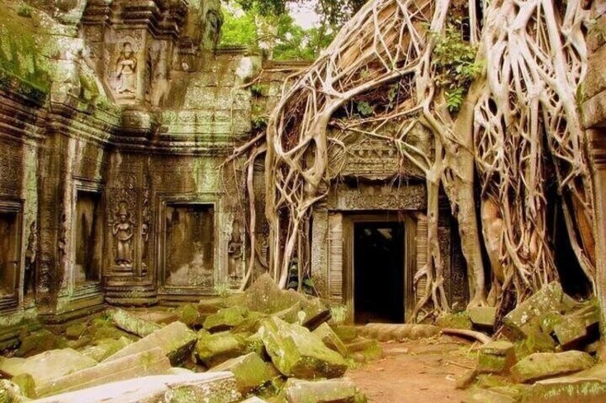 An ancient temple with intricate carvings and overgrown with vines. 5