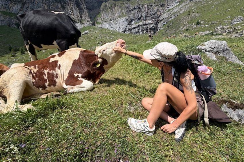 Kandersteg: Oeschinensee Panorama Hike with a Swiss Athlete 4
