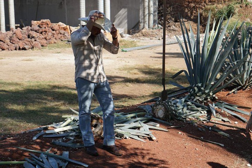 A person standing on a dirt ground with a plant in the background. 3