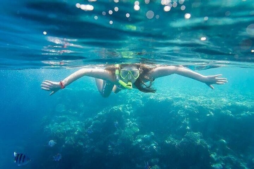 Coral Planting & Snorkeling: Hands-On Reef Nursery in La Paz 5