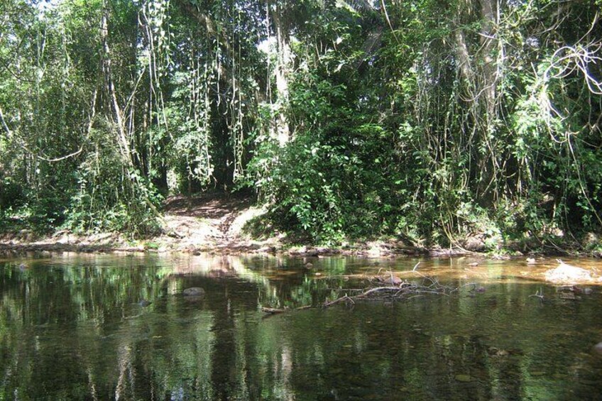 Full-Day ATM Cave and Xunantunich Maya Temple Combo 5