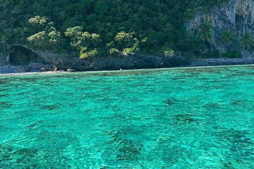 A turquoise sea with a rocky shore and dense green foliage. 2