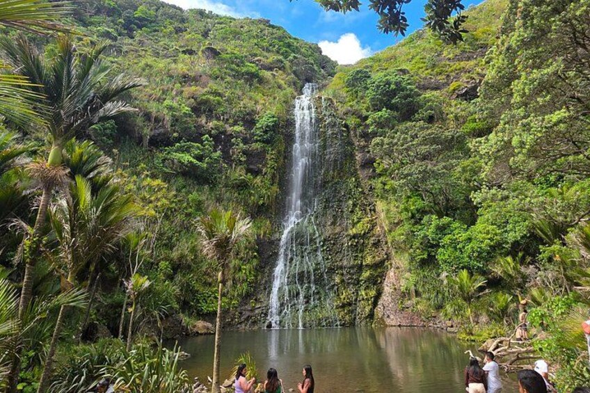 A waterfall cascading down a lush, green hillside into a calm pool surrounded by dense tropical vegetation. 1