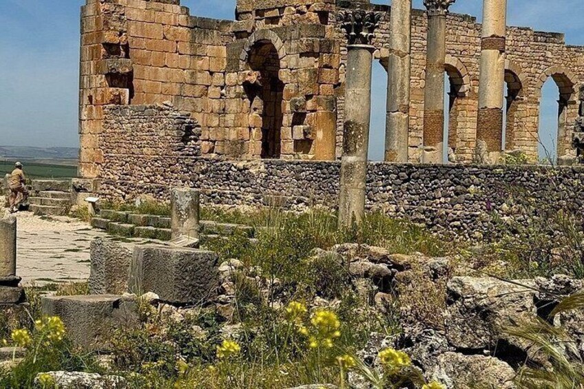 Meknes and Volubilis Day Trip from Fes with Local Guide in Meknes 2