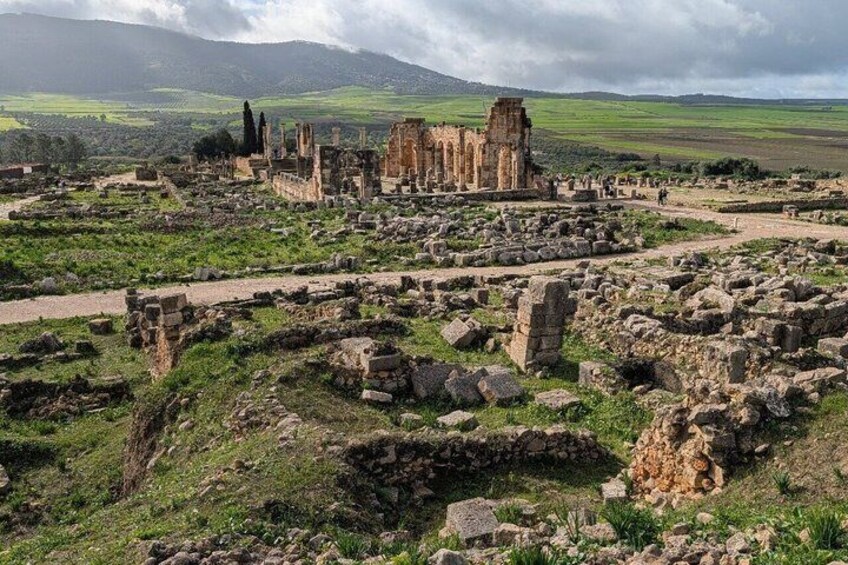 Meknes and Volubilis Day Trip from Fes with Local Guide in Meknes 2