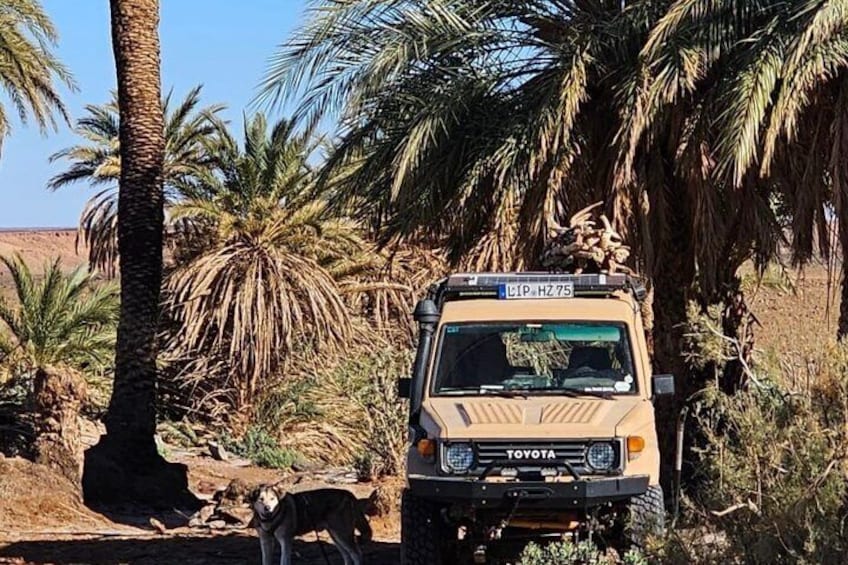 2 Days 1 Night Desert Tour to Erg Chigaga from Zagora 5